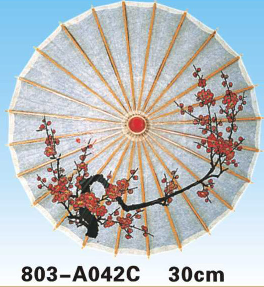 Paper Umbrellas-803-A042C