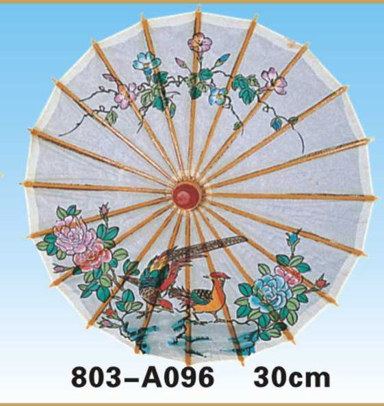 Paper Umbrellas-803-A096
