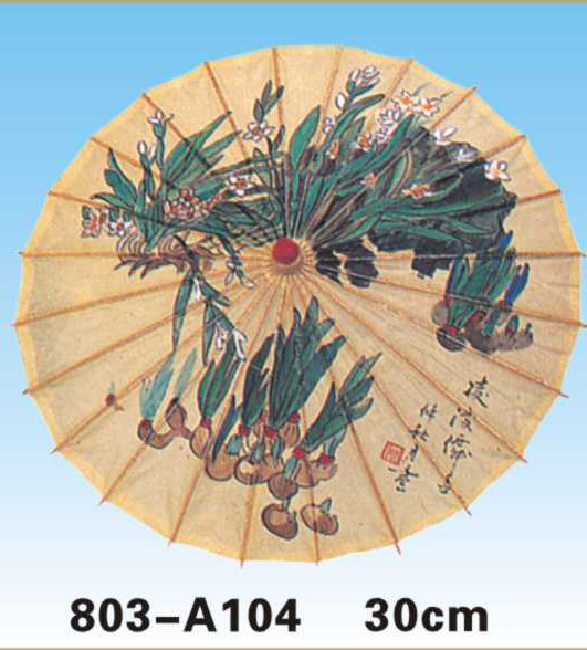 Paper Umbrellas-803-A104