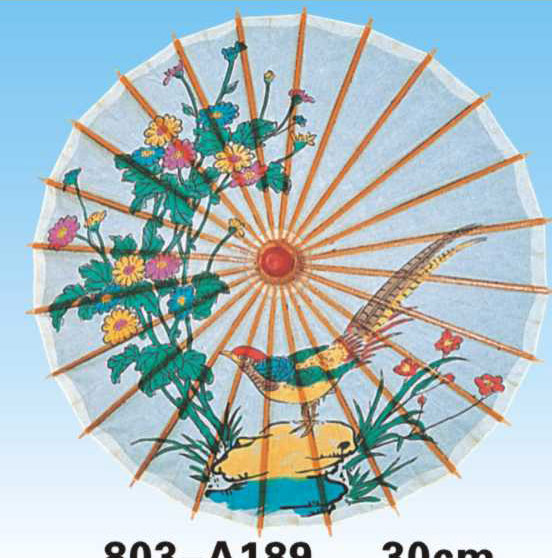 Paper Umbrellas-803-A189