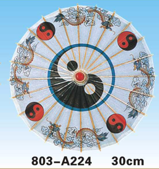 Paper Umbrellas-803-A224
