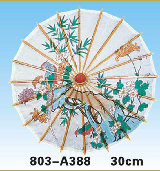 Paper Umbrellas-803-A388