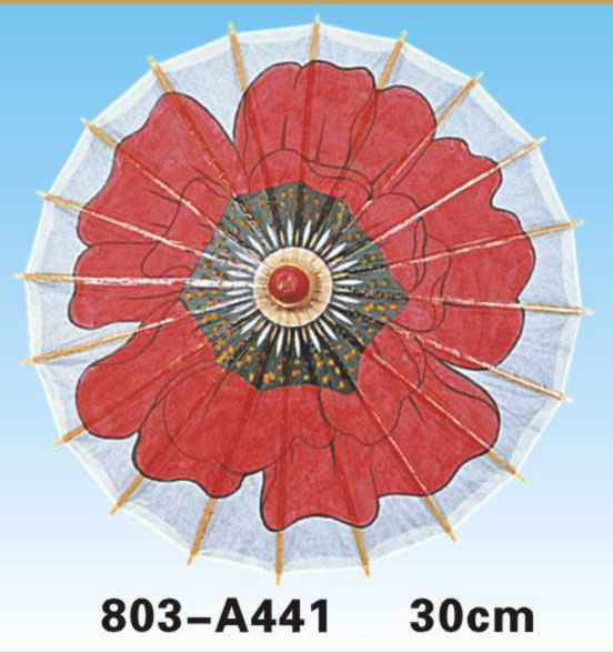 Paper Umbrellas-803-A441-