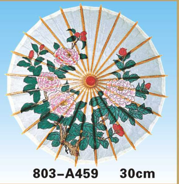 Paper Umbrellas-803-A459-