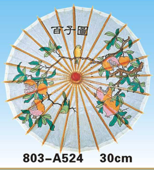 Paper Umbrellas-803-A524