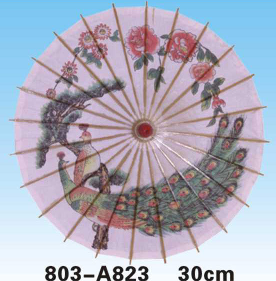 Paper Umbrellas-803-A823