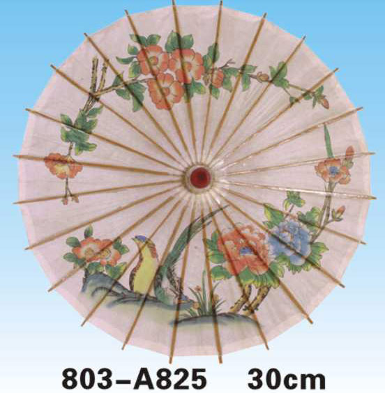 Paper Umbrellas-803-A825