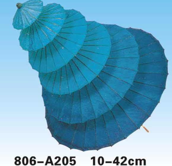 Paper Umbrellas-806-A205