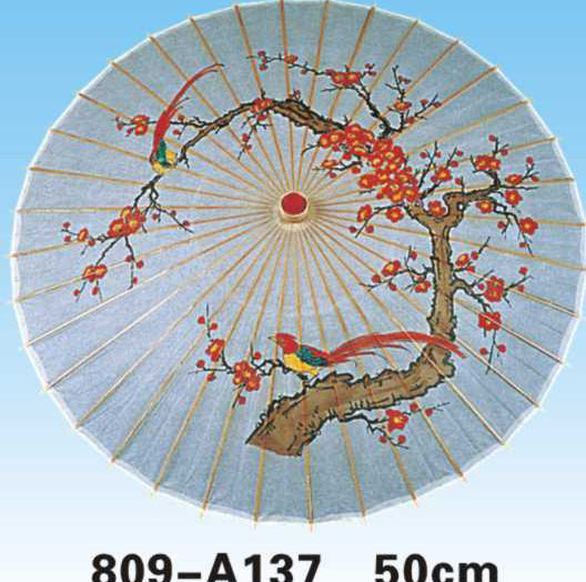 Paper Umbrellas-809-A137