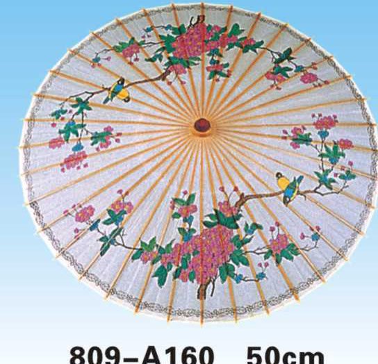 Paper Umbrellas-809-A160