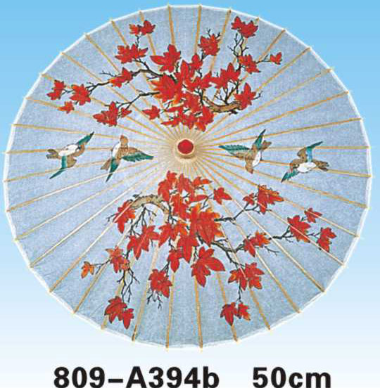 Paper Umbrellas-809-A394B