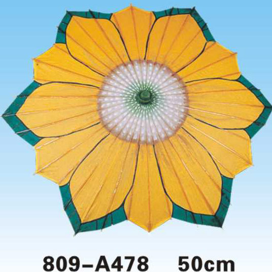 Paper Umbrellas-809-A478